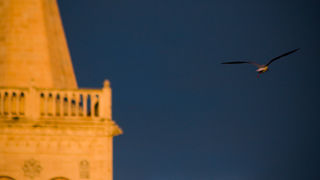 Zadarski suton 7. siječnja 2013. (foto:Saša Čuka)