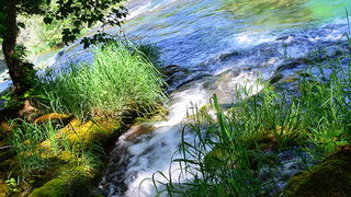 Đir do NP Krka. foto-Iva Perincic