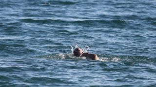 Bablje ljeto na zadarskim plažama 9. listopada 2014, Foto: Filip Brala/PIXSELL Bablje ljeto na zadarskim plažama 9. listopada 2014, Foto: Filip Brala/PIXSELL