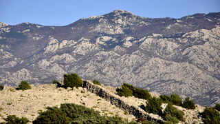 Rab, 131111.
Topao i suncan dan na Rabu idealan je za setnju po barbatskom kantu (pasnjacima) i za otkrivanje ljepota barbatskih kamenih suhozida. Suhozid je gradjevina od prirodnog kamena kojeg su tezaci gradili slagajuci kamen na kamen bez koristenja ve Rab, 131111.
Topao i suncan dan na Rabu idealan je za setnju po barbatskom kantu (pasnjacima) i za otkrivanje ljepota barbatskih kamenih suhozida. Suhozid je gradjevina od prirodnog kamena kojeg su tezaci gradili slagajuci kamen na kamen bez koristenja ve