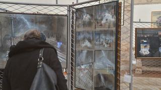 11. Noć muzeja u Zadru, foto-Iva Perinčić 11. Noć muzeja u Zadru, foto-Iva Perinčić