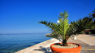 Skitnja gradom 9. svibnja 2013. Foto: Roberto Lerga Skitnja gradom 9. svibnja 2013. Foto: Roberto Lerga