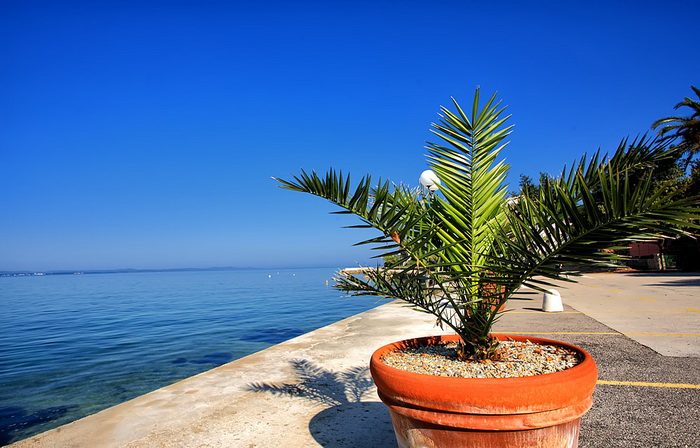 Skitnja gradom 9. svibnja 2013. Foto: Roberto Lerga Skitnja gradom 9. svibnja 2013. Foto: Roberto Lerga