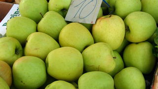 Image 1205459 (auto)