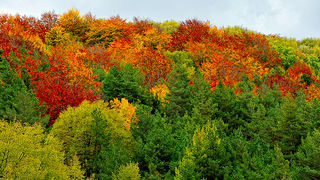 Sjeverni Velebit i Lika u jesen Sjeverni Velebit i Lika u jesen