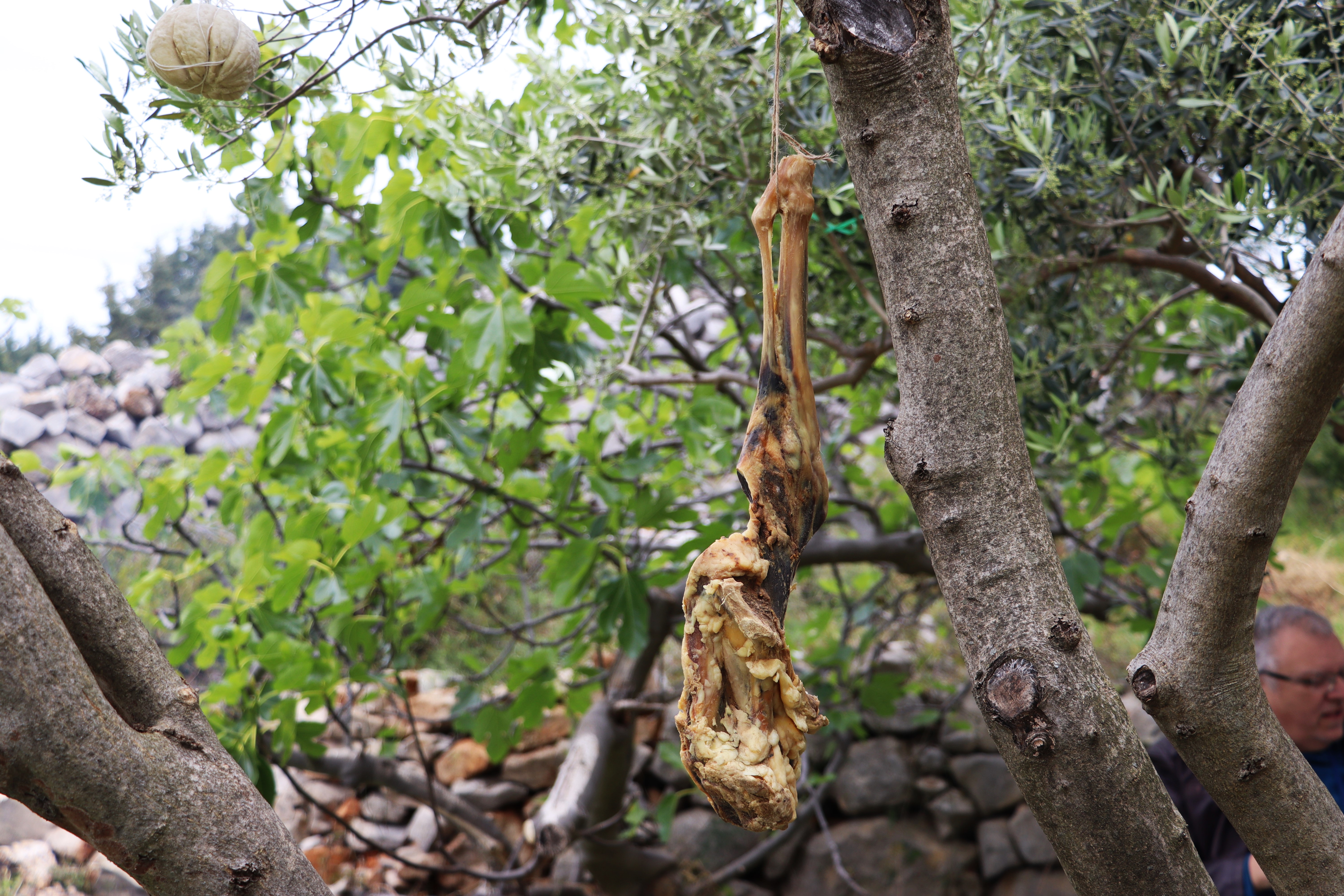 MarsOvca je novi projekt novaljske gastronomije koji na tron diže pašku ovcu