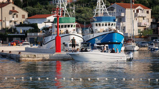 3. Blue Fish festival: Degustacija jela vrhunskih zadarskih kuhara 3. Blue Fish festival: Degustacija jela vrhunskih zadarskih kuhara