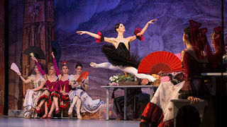 Baletna predstava “Don Quixote”, foto: Leo Banić