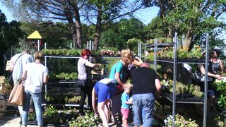 Danas, kako je tvrtka Nasadi d.o.o. i najavila, u rasadniku Cerodol na Žmirićima od 09:00 do 11:00 sati građanima su se dijelile sadnice sezonskog cvijeća. Danas, kako je tvrtka Nasadi d.o.o. i najavila, u rasadniku Cerodol na Žmirićima od 09:00 do 11:00 sati građanima su se dijelile sadnice sezonskog cvijeća.