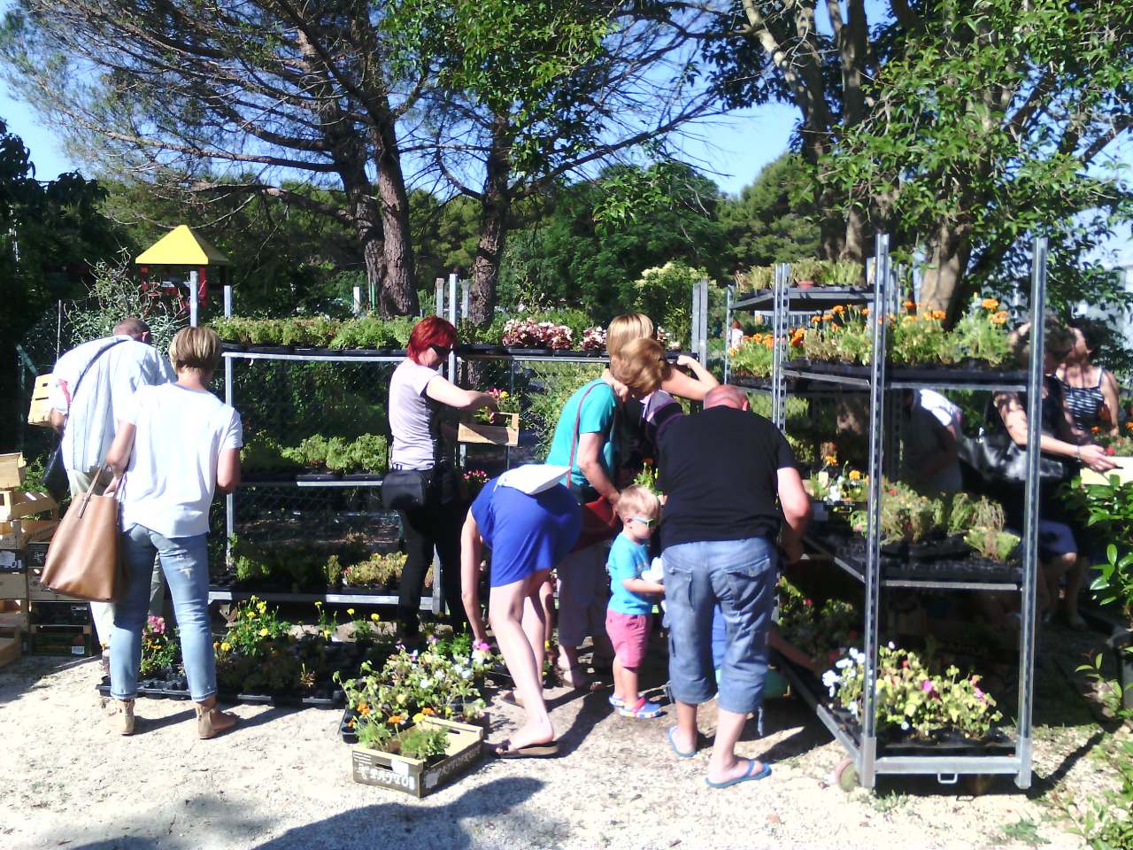 Danas, kako je tvrtka Nasadi d.o.o. i najavila, u rasadniku Cerodol na Žmirićima od 09:00 do 11:00 sati građanima su se dijelile sadnice sezonskog cvijeća. Danas, kako je tvrtka Nasadi d.o.o. i najavila, u rasadniku Cerodol na Žmirićima od 09:00 do 11:00 sati građanima su se dijelile sadnice sezonskog cvijeća.