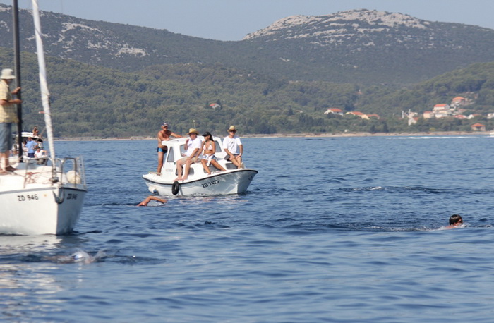 40. Plivački maraton Preko-Zadar, Foto: Edin Kadić 40. Plivački maraton Preko-Zadar, Foto: Edin Kadić