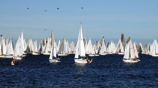 Trst: Barcolana 2009.