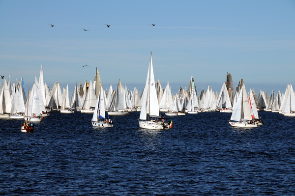 Trst: Barcolana 2009.
