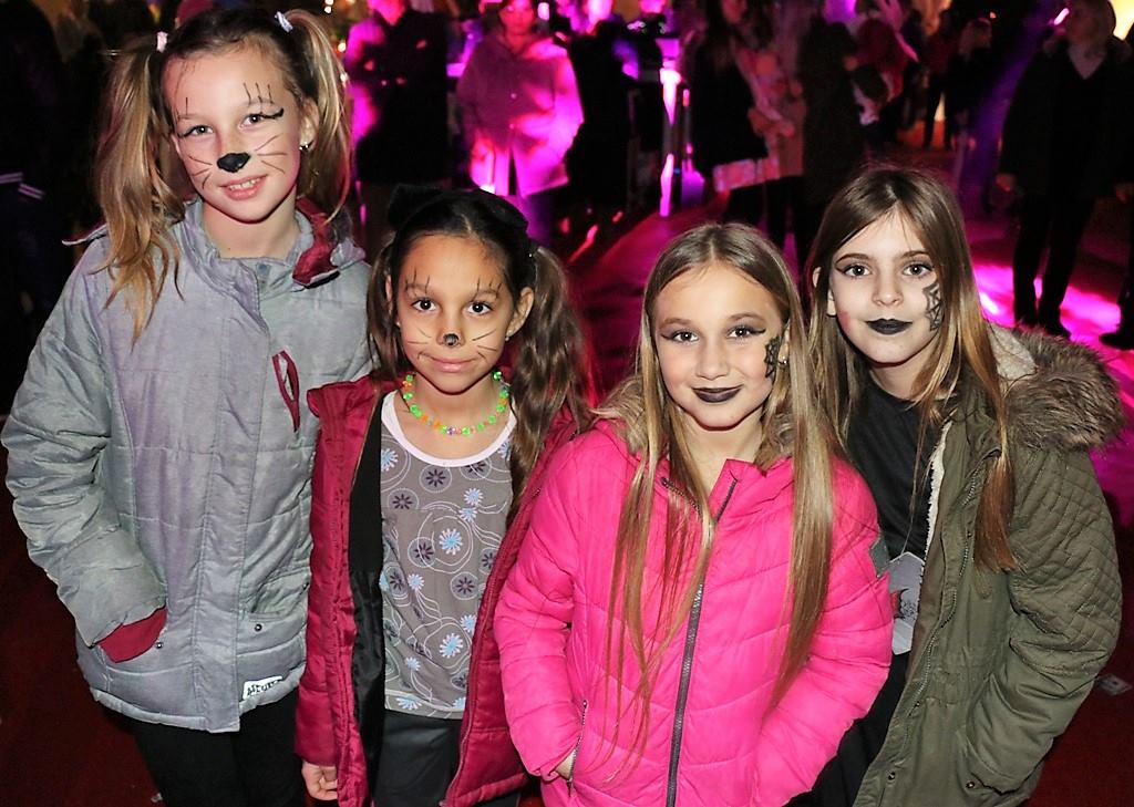 Virske maškare 2017: Vir Fešn Najt i izbor najboljih maski