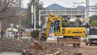 Na Bulevaru posječena stabla lipe stara 40 godina