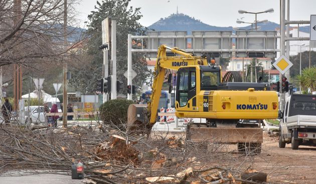 Na Bulevaru posječena stabla lipe stara 40 godina