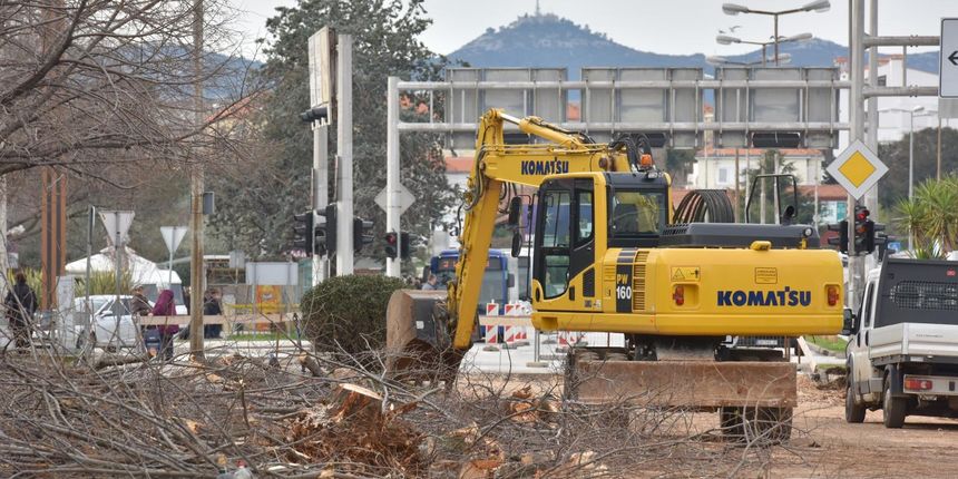 Na Bulevaru posječena stabla lipe stara 40 godina