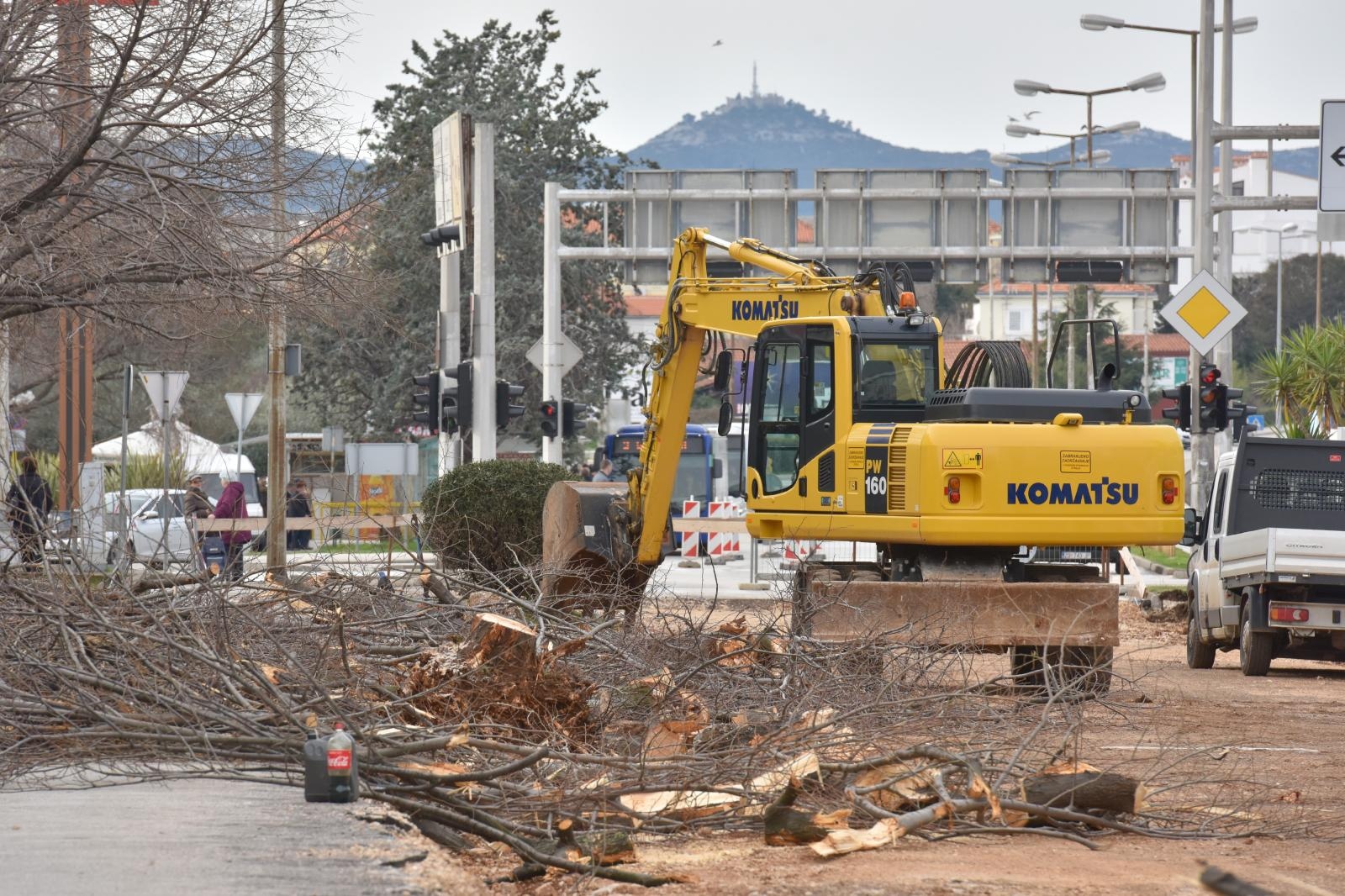 Na Bulevaru posječena stabla lipe stara 40 godina