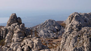 OLYMPUS DIGITAL CAMERA OLYMPUS DIGITAL CAMERA