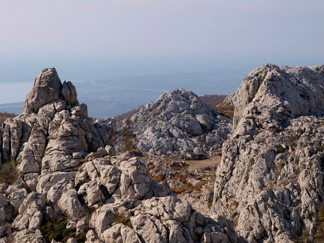 OLYMPUS DIGITAL CAMERA OLYMPUS DIGITAL CAMERA