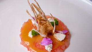 Elitno mjesto ribljih delicija – zadarski restoran Foša