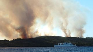 Image 1177185 (auto)