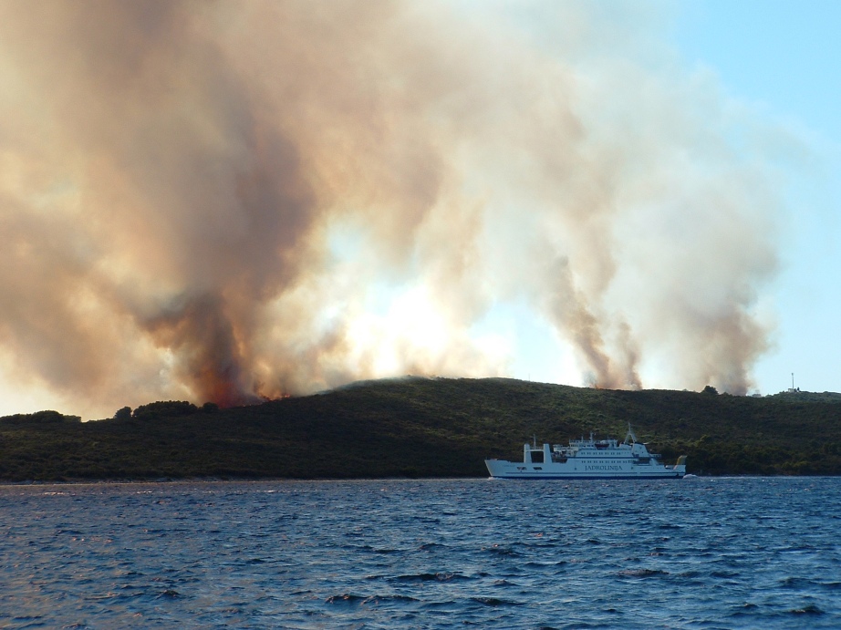 Image 1177185 (auto)