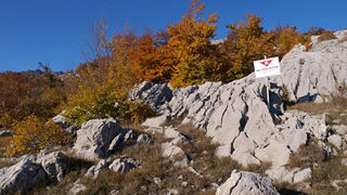 OLYMPUS DIGITAL CAMERA OLYMPUS DIGITAL CAMERA