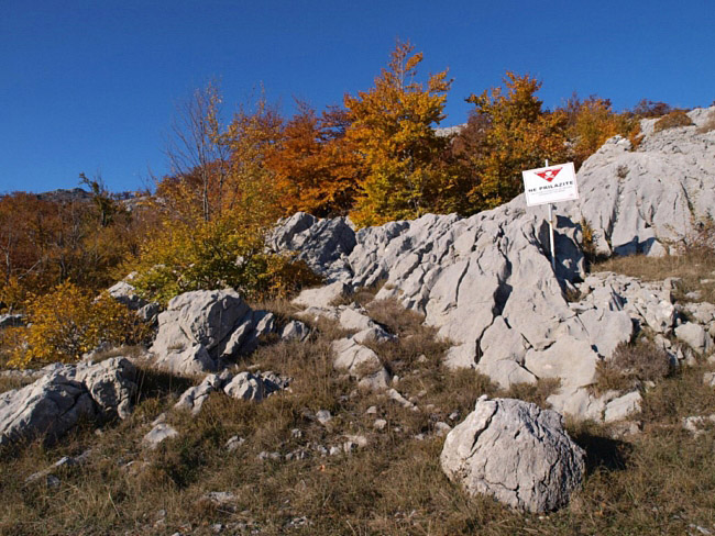 OLYMPUS DIGITAL CAMERA OLYMPUS DIGITAL CAMERA