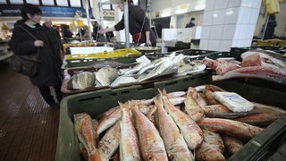 Đir po pešakariji 24. veljače 2012, Foto. Saša Čuka Đir po pešakariji 24. veljače 2012, Foto. Saša Čuka