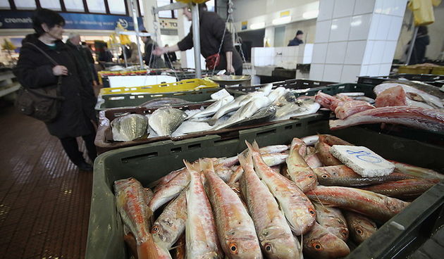 Đir po pešakariji 24. veljače 2012, Foto. Saša Čuka