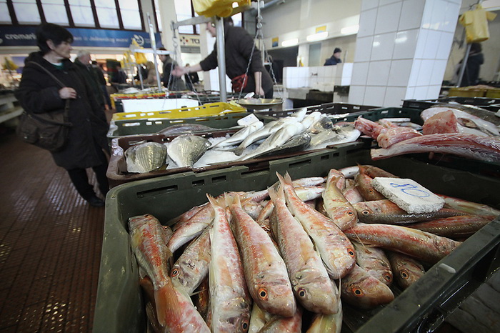 Đir po pešakariji 24. veljače 2012, Foto. Saša Čuka Đir po pešakariji 24. veljače 2012, Foto. Saša Čuka