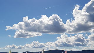 Zadarska Koka 2016. 22. listopada 2016. Foto: Mladen Malik Zadarska Koka 2016. 22. listopada 2016. Foto: Mladen Malik