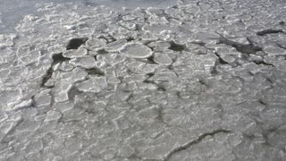 Šetnja po zaleđenom i bajkovitim Vranskim jezerom Šetnja po zaleđenom i bajkovitim Vranskim jezerom