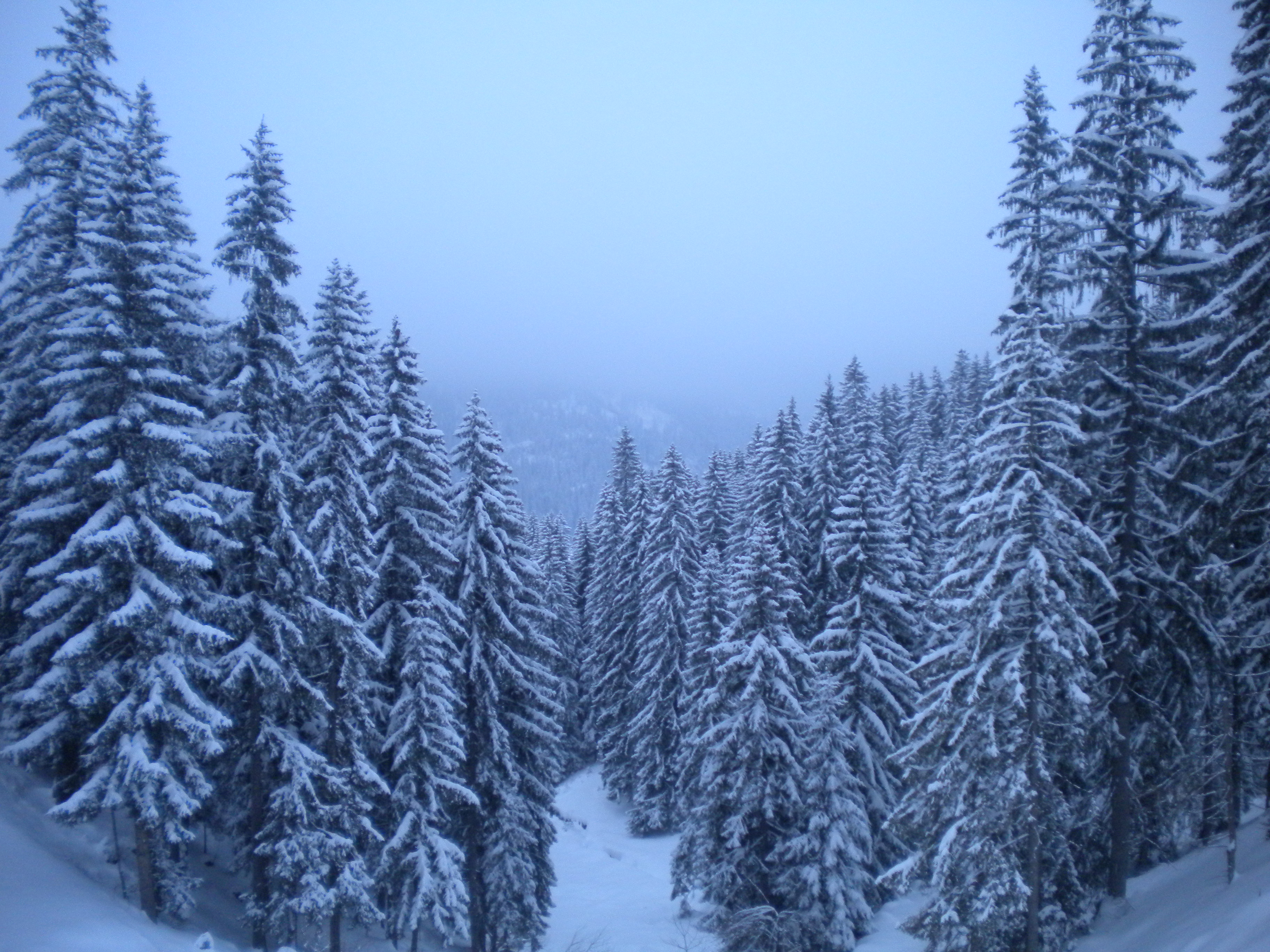 Vlašići BiH, 13. 02. 2010.