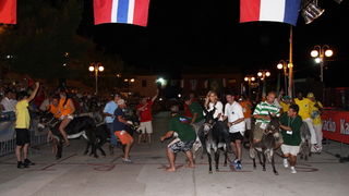 Image 1089001 (auto)