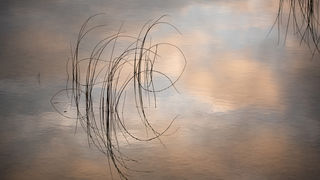 Čarobno jutro na Vranskom jezeru Čarobno jutro na Vranskom jezeru