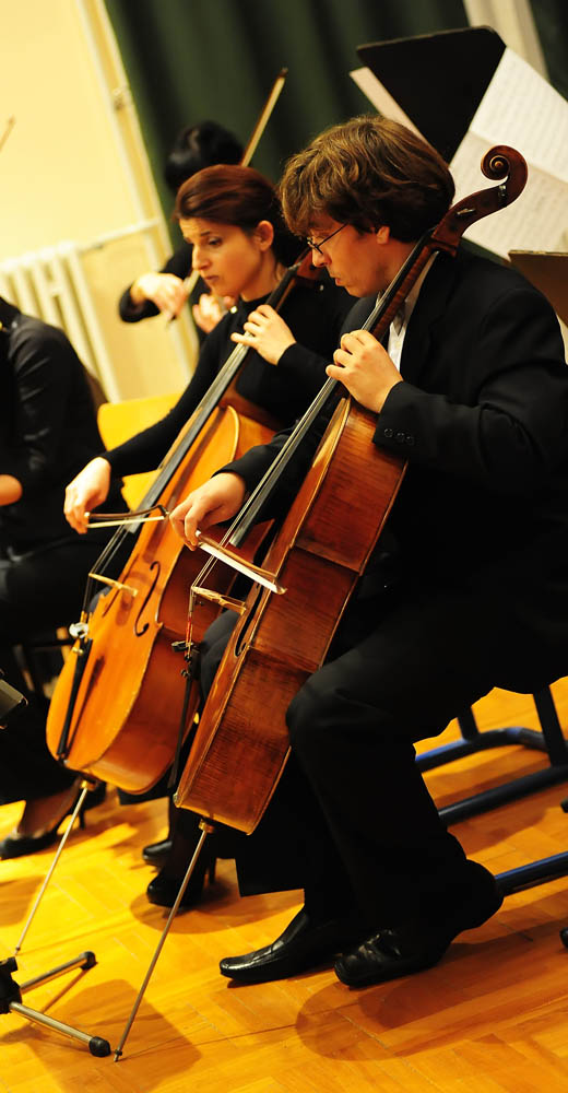 Božićni koncert Zadarskog komornog orkestra, foto: Nenad Marčev