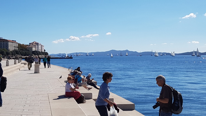 Zadarska Koka 2016. 22. listopada 2016. Foto: Mladen Malik Zadarska Koka 2016. 22. listopada 2016. Foto: Mladen Malik