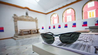 Đir po gradu (sa sunčanim naočalama) 7. studenog 2011, Foto: Saša Čuka