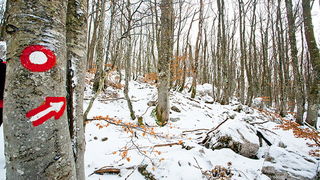 Đir do vrha Zečjak na sjevernom Velebitu, Foto: Leo Banić