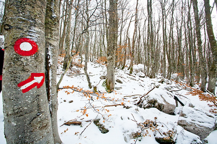 Đir do vrha Zečjak na sjevernom Velebitu, Foto: Leo Banić