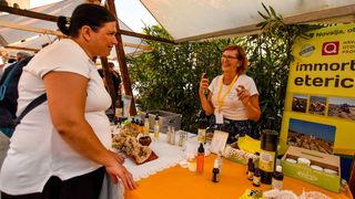 Kolan: Fešta od sira