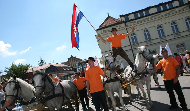 Mirni prosvjed djakovcana na trgu dr. Franje Tudmana u centru grada, protiv pripajanja drzavne ergele lipicanaca u Djakovu Hrvatskom konjogojskom centru u Lipiku. Na prosvjed su dosli i seljaci sa nekoliko traktora i konjske zaprege. Foto: Damir Glibusic