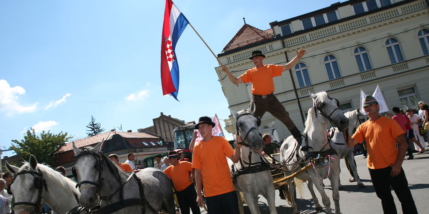 Mirni prosvjed djakovcana na trgu dr. Franje Tudmana u centru grada, protiv pripajanja drzavne ergele lipicanaca u Djakovu Hrvatskom konjogojskom centru u Lipiku. Na prosvjed su dosli i seljaci sa nekoliko traktora i konjske zaprege. Foto: Damir Glibusic Mirni prosvjed djakovcana na trgu dr. Franje Tudmana u centru grada, protiv pripajanja drzavne ergele lipicanaca u Djakovu Hrvatskom konjogojskom centru u Lipiku. Na prosvjed su dosli i seljaci sa nekoliko traktora i konjske zaprege. Foto: Damir Glibusic