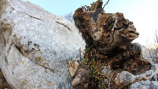 Uspon na Bojin Kuk i pogled na Italiju, Foto: Leo Banić Uspon na Bojin Kuk i pogled na Italiju, Foto: Leo Banić