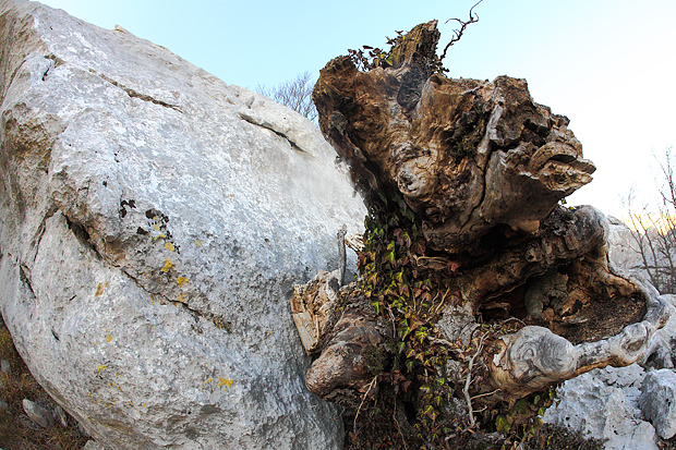 Uspon na Bojin Kuk i pogled na Italiju, Foto: Leo Banić Uspon na Bojin Kuk i pogled na Italiju, Foto: Leo Banić