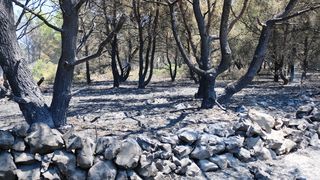 Vir: Požar u Lozicama u potpunosti ugašen Vir: Požar u Lozicama u potpunosti ugašen