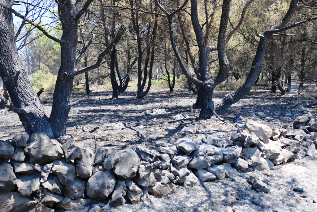 Vir: Požar u Lozicama u potpunosti ugašen Vir: Požar u Lozicama u potpunosti ugašen