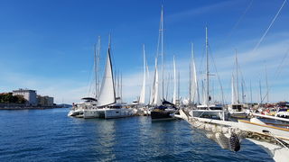 Đir po gradu 19. listopada 2016.